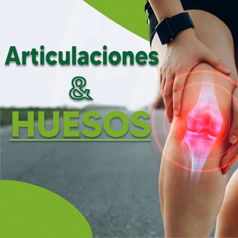 Articulaciones y huesos