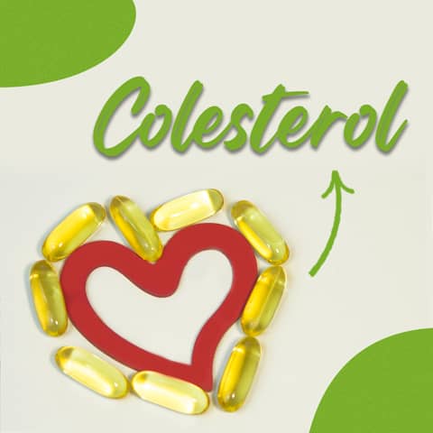 Colesterol